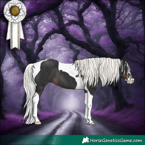 Horse Color:Liver Chestnut Mushroom Splash Tobiano Rabicano 