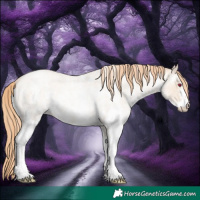 Horse Color:Gold Champagne Roan Pearl Dun Sabino Rabicano