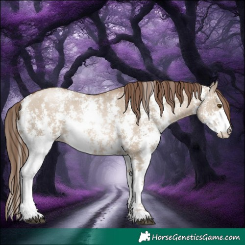 Horse Color:Grullo Pearl Sabino Rabicano
