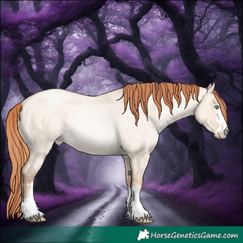 Horse Color:Classic Champagne Roan Pearl Dun Rabicano 