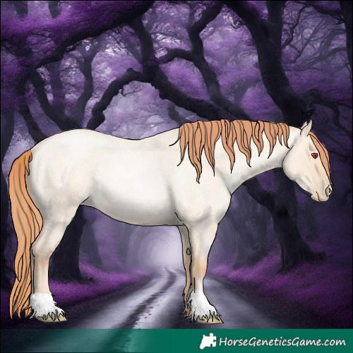 Horse Color:Classic Champagne Roan Pearl Dun Rabicano