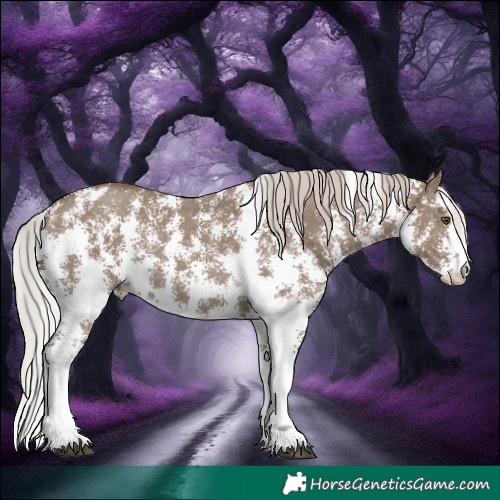 Horse Color:Silver Grullo Sabino Rabicano