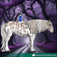 Horse Color:Silver Grullo Sabino Rabicano
