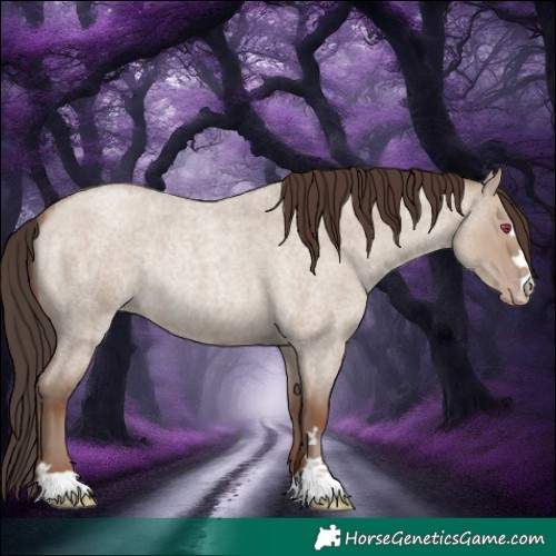 Horse Color:Classic Champagne Roan Dun Rabicano 
