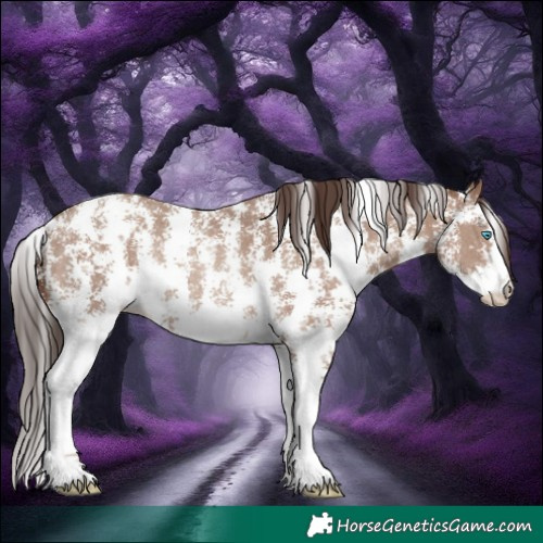 Horse Color:Classic Champagne Sabino Rabicano 