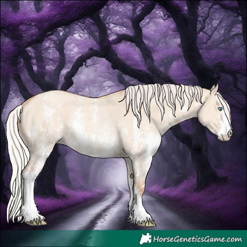Horse Color:Silver Classic Champagne Dun Sabino Rabicano