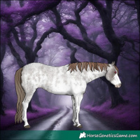 Horse Color:Liver Red Roan Sabino