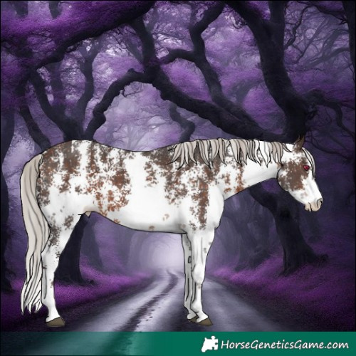 Horse Color:Silver Brown Sabino 