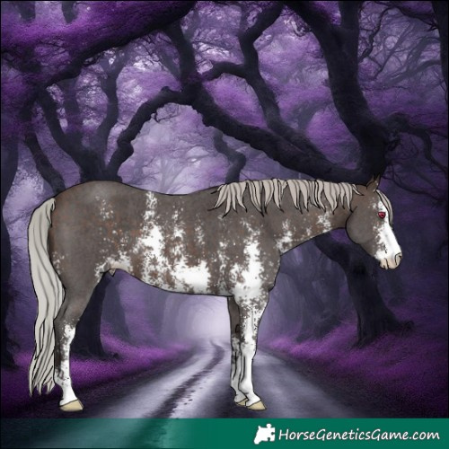 Horse Color:Silver Brown Sabino