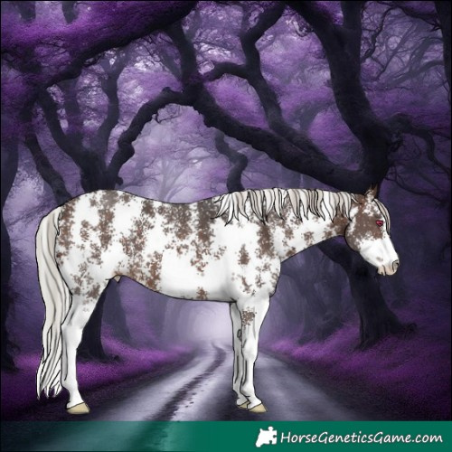 Horse Color:Silver Brown Sabino