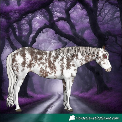 Horse Color:Silver Brown Sabino