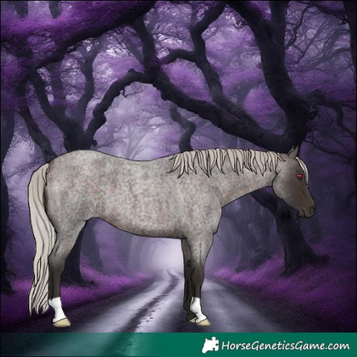 Horse Color:Silver Brown Roan
