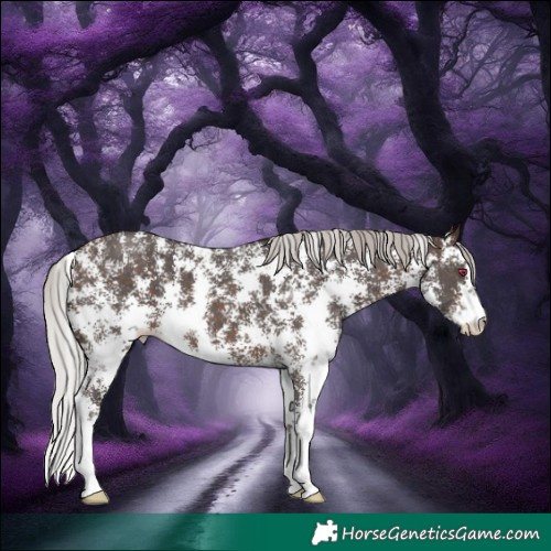 Horse Color:Silver Brown Sabino