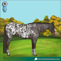 Horse Color:Liver Chestnut  and Liver Red Roan Blanket 