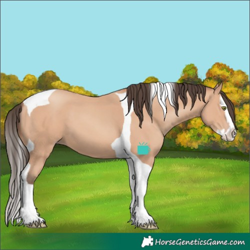 Horse Color:Amber Champagne Splash Tobiano