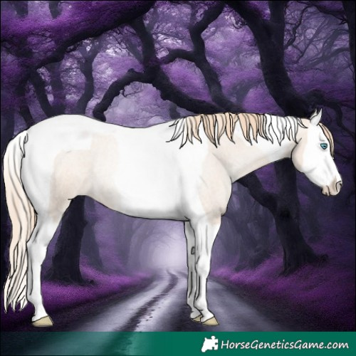 Horse Color:Gold Champagne Roan Pearl Dun Splash Tobiano Appaloosa Rabicano 