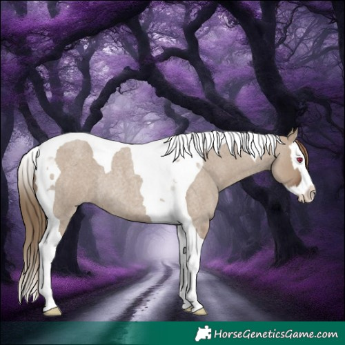Horse Color:Liver Red Dun Roan Splash Tobiano Rabicano