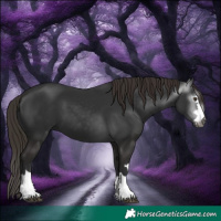 Horse Color:Gray Liver Chestnut
