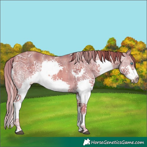 Horse Color:Powder White Plaid Chestnut Ice Splash