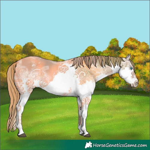 Horse Color:Powder White Watercolor Chestnut Ice Splash