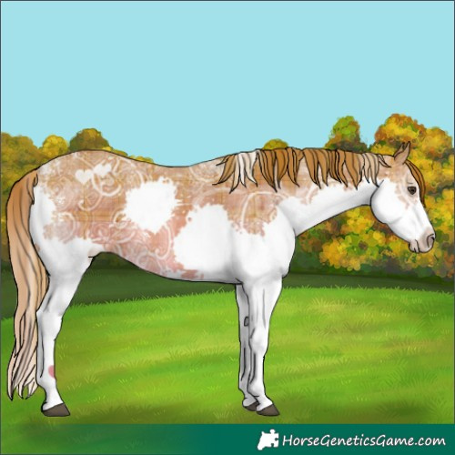 Horse Color:Powder White Plaid  Chestnut Ice Splash 