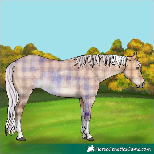 Horse Color:Plaid Silver Bay Dun Tobiano