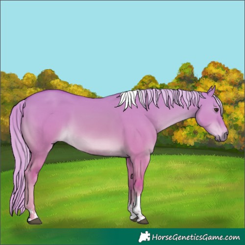 Horse Color:Watercolor Red Dun Tobiano 