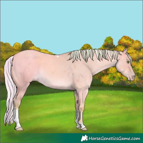 Horse Color:Watercolor Silver Amber Champagne Dun Tobiano