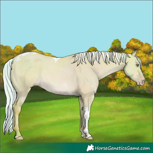 Horse Color:Watercolor Silver Amber Champagne Dun Tobiano 