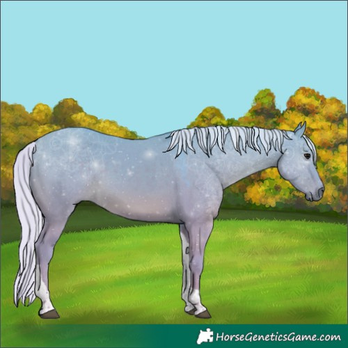 Horse Color:Watercolor Silver Grullo Tobiano