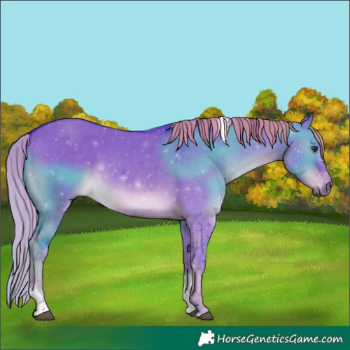 Horse Color:Watercolor Liver Red Dun Tobiano 