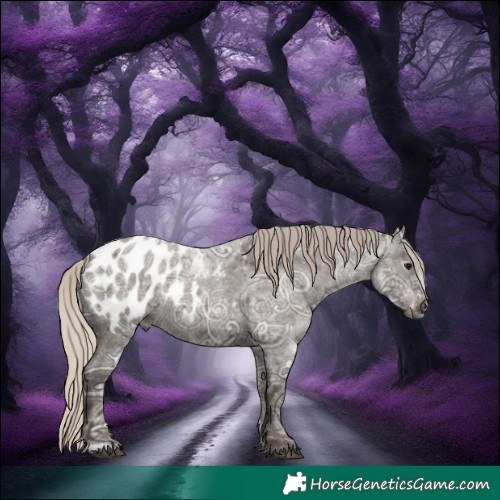 Horse Color:Gray Silver Blue Ice Roan Frame Appaloosa Rabicano