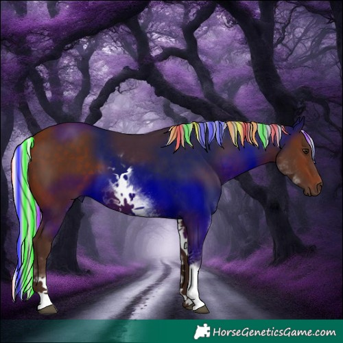 Horse Color:Painted White Spotted Silver Bay Rabicano