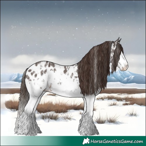 Horse Color:Liver Chestnut Sabino Splash Near Leopard  and Liver Chestnut Sabino Splash Near Leopard 