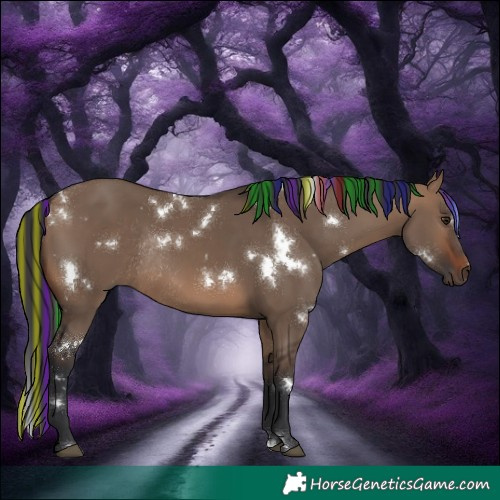 Horse Color:Painted White Spotted Brown Dun Rabicano 