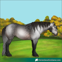 Horse Color:Gray Bay