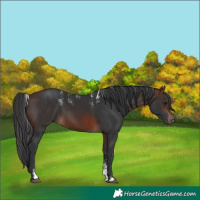 Horse Color:Powder White Brown