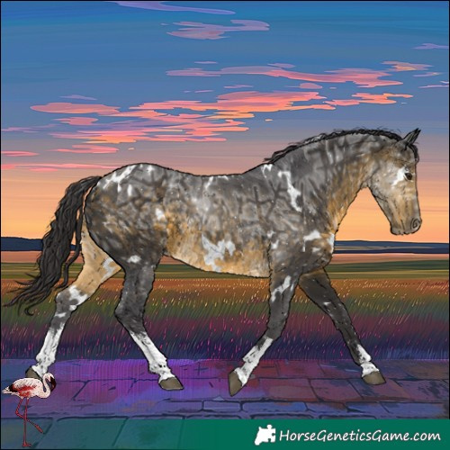 Horse Color:White Spotted Buckskin Ice