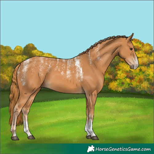 Horse Color:Powder White Chestnut