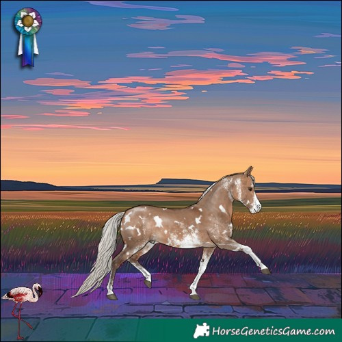 Horse Color:White Spotted Silver Brown Dun 