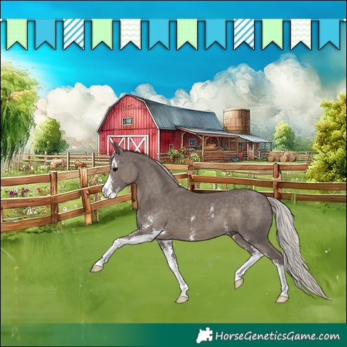 Horse Color:Silver Black Sabino