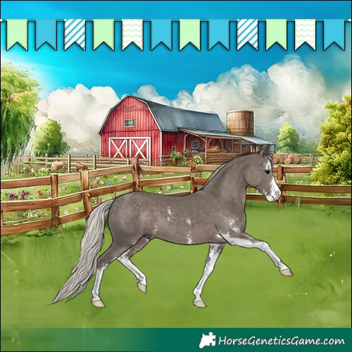 Horse Color:Silver Black Sabino