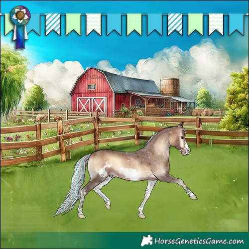 Horse Color:Painted Silver Brown Onyx Sabino Frame 