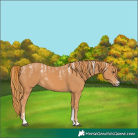Horse Color:Powder White Chestnut