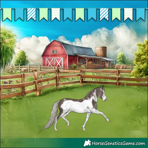 Horse Color:White Spotted Silver Black Frame Appaloosa