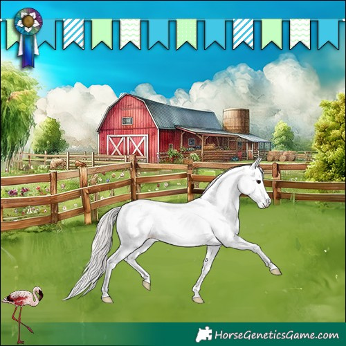 Horse Color:Silver Black Sabino Appaloosa Rabicano 