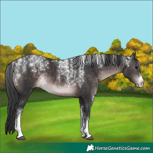 Horse Color:Powder White Platinum Brown 
