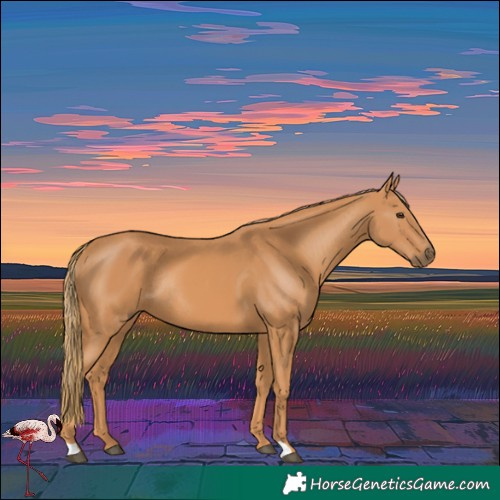 Horse Color:Chestnut Rabicano