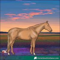 Horse Color:Chestnut Rabicano 
