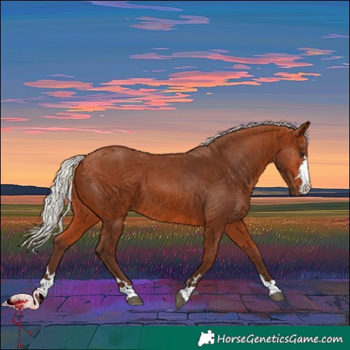 Horse Color:Silver Bay